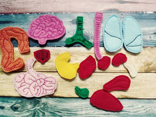 Anatomy board - felt board with 15 organ pieces - learning board - Medical Play Set - human body - busy board - quiet book page - activity