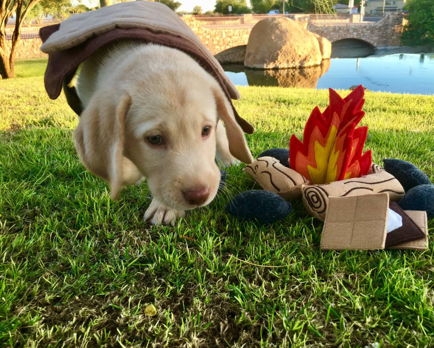 Felt Campfire Play Set, Kids Pretend Play Toy, Unique Birthday Gift
for Children