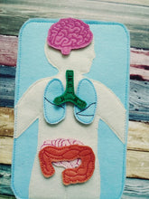 Anatomy board - felt board with 15 organ pieces - learning board - Medical Play Set - human body - busy board - quiet book page - activity