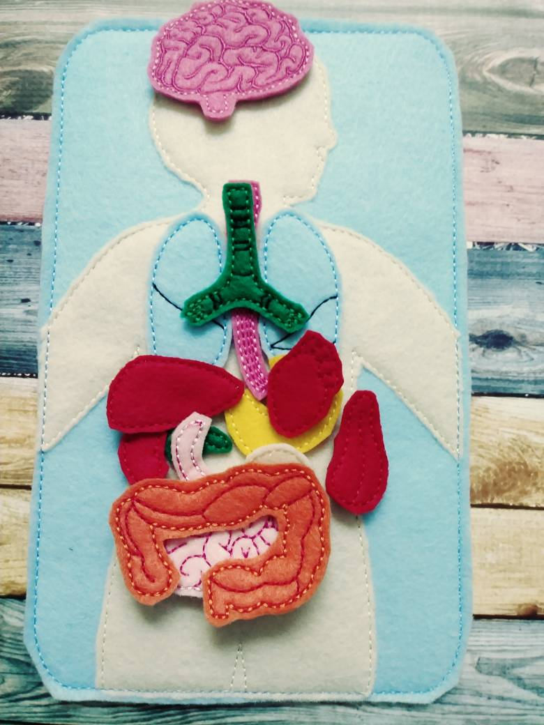 Anatomy board - felt board with 15 organ pieces - learning board - Medical Play Set - human body - busy board - quiet book page - activity