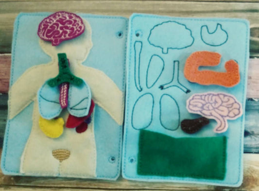 Anatomy board - anatomy quiet book page - 10 organ pieces - learning board - Medical Play Set - human body - busy board - quiet book page