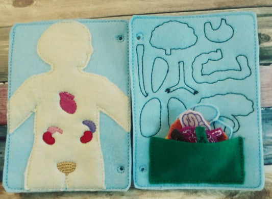 Anatomy board - anatomy quiet book page - 10 organ pieces - learning board - Medical Play Set - human body - busy board - quiet book page