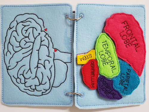 Human Brain puzzle quiet book page - brain maze - learning board - Medical Play Set - human body - busy board education